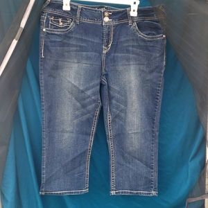 Wallflower size 17 capris